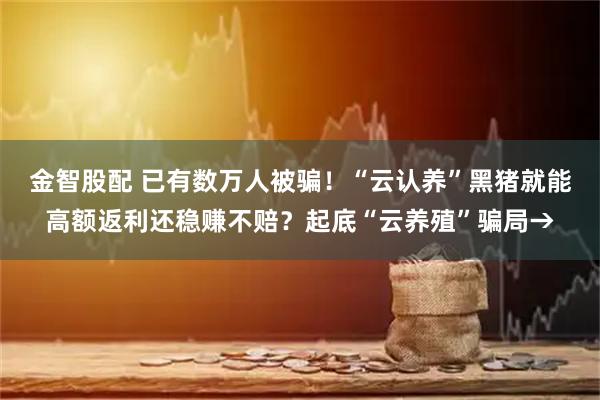 金智股配 已有数万人被骗！“云认养”黑猪就能高额返利还稳赚不赔？起底“云养殖”骗局→